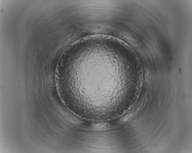 X0000070860461200606161144