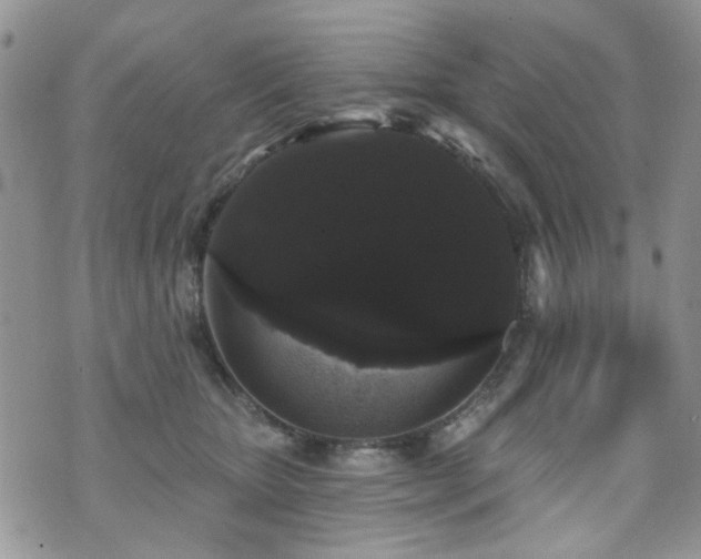 X0000070860467200606161145