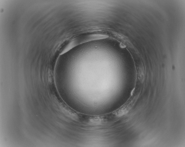 X0000070860470200606161145