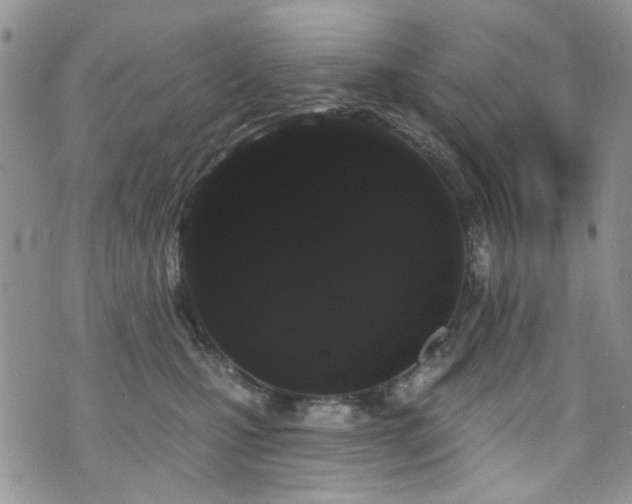 X0000070860471200606161145