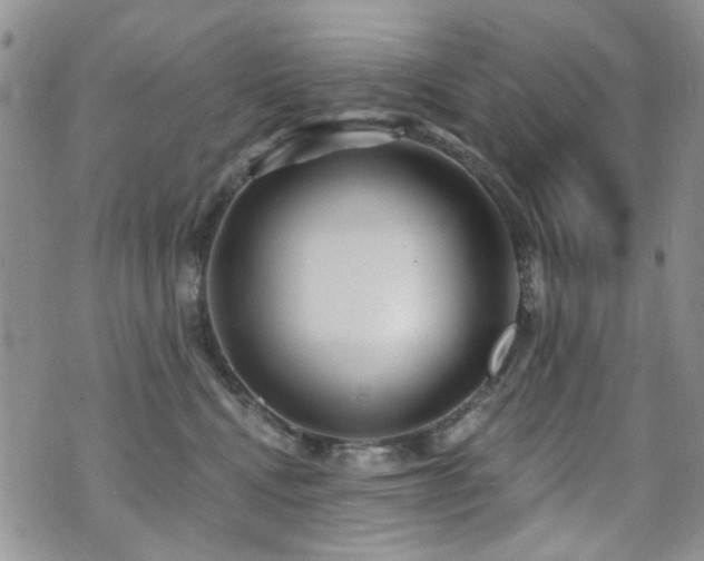 X0000070860472200606161145