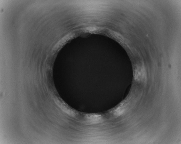 X0000070860476200606161145
