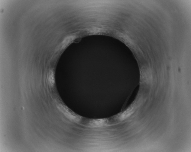 X0000070860479200606161145