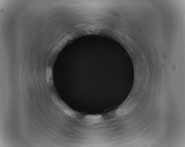 X0000070860480200606161145