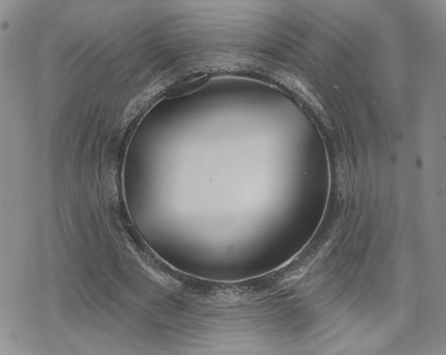 X0000070860489200606161144