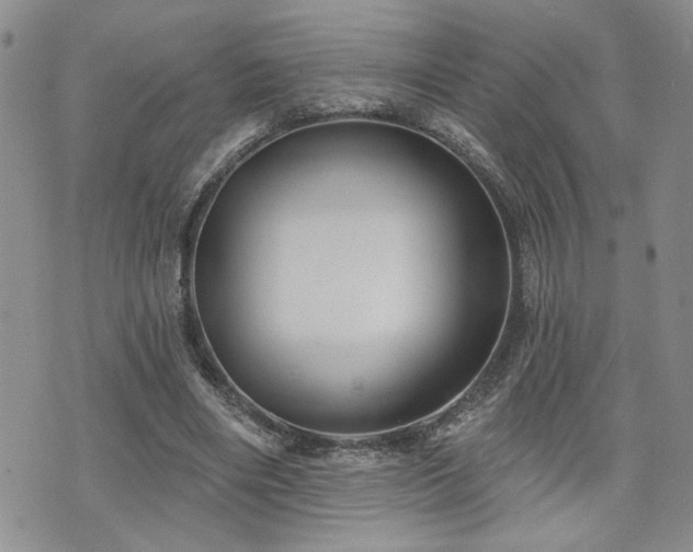X0000070860490200606161144