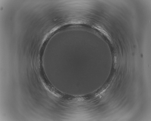 X0000070860492200606161144