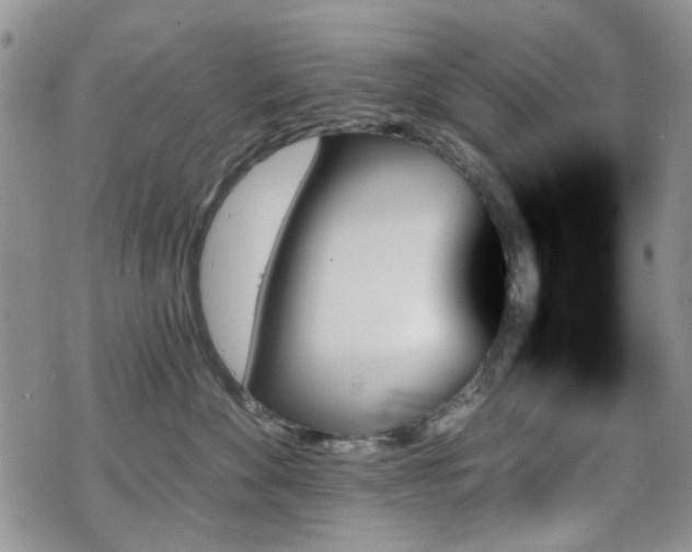 X0000070860524200606161143