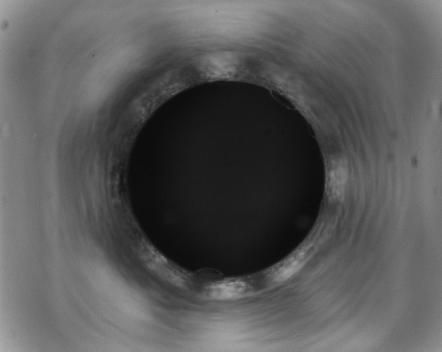 X0000070860525200606161143