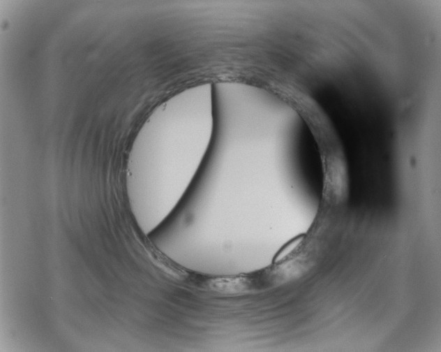X0000070860526200606161143