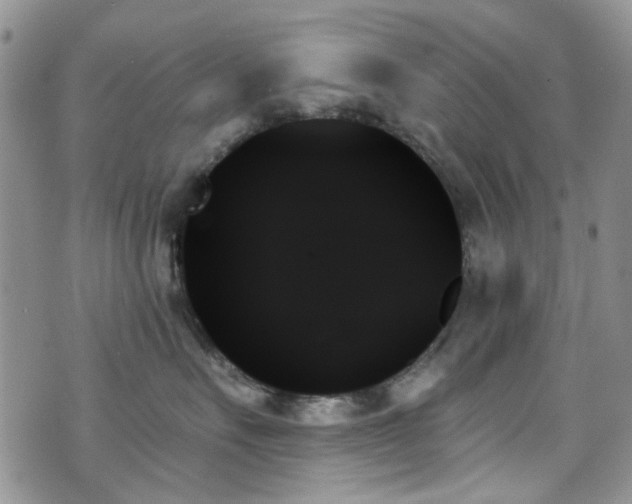 X0000070860527200606161143