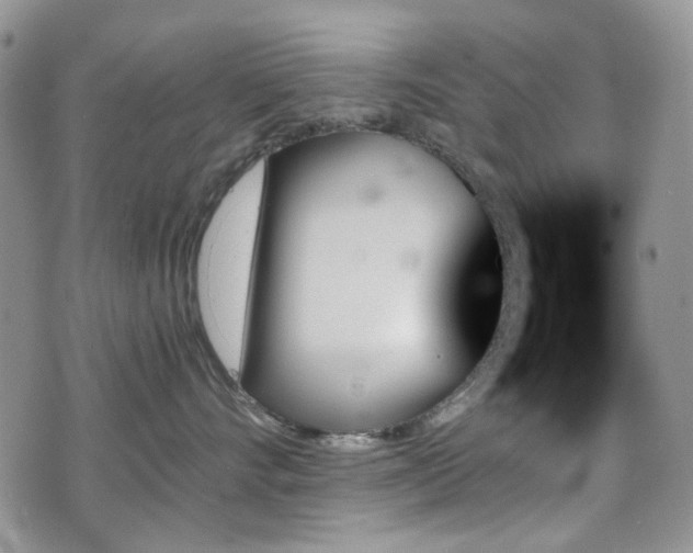 X0000070860528200606161143