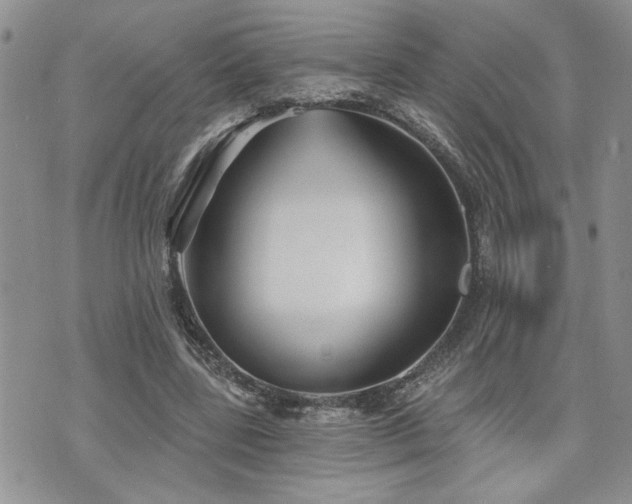 X0000070860539200606161143