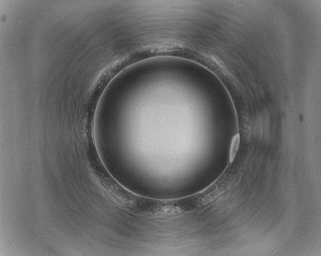 X0000070860543200606161143