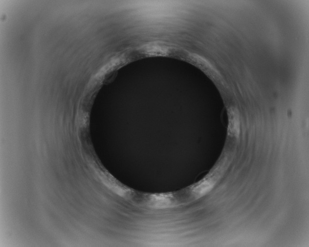 X0000070860573200606161143