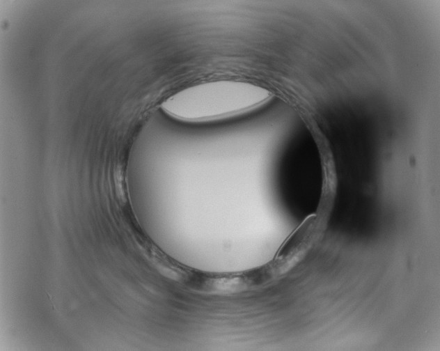 X0000070860575200606161143