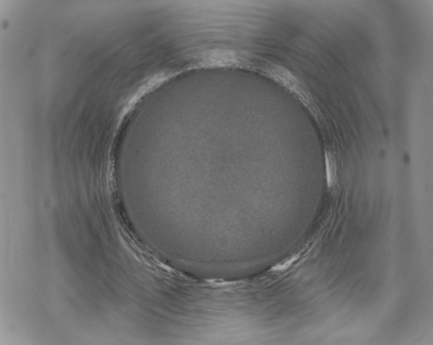X0000070860579200606161142