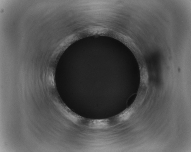 X0000070860622200606161142