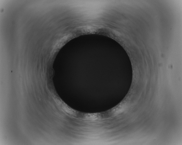 X0000070860624200606161142