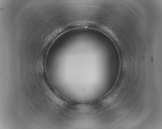 X0000070860633200606161141
