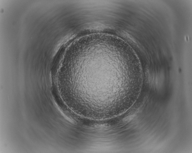 X0000070860638200606161141