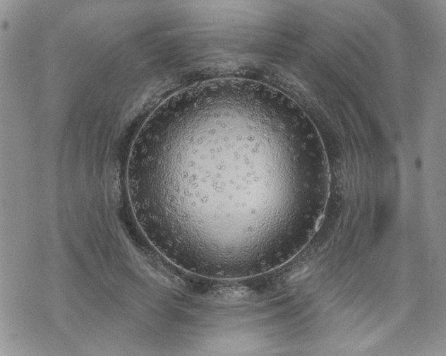 X0000070860642200606161141