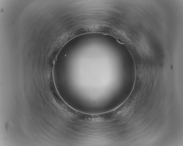 X0000070860645200606161141