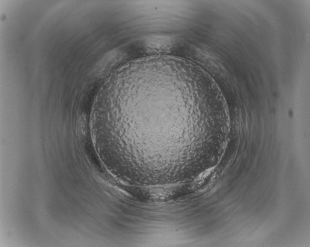 X0000070860649200606161141
