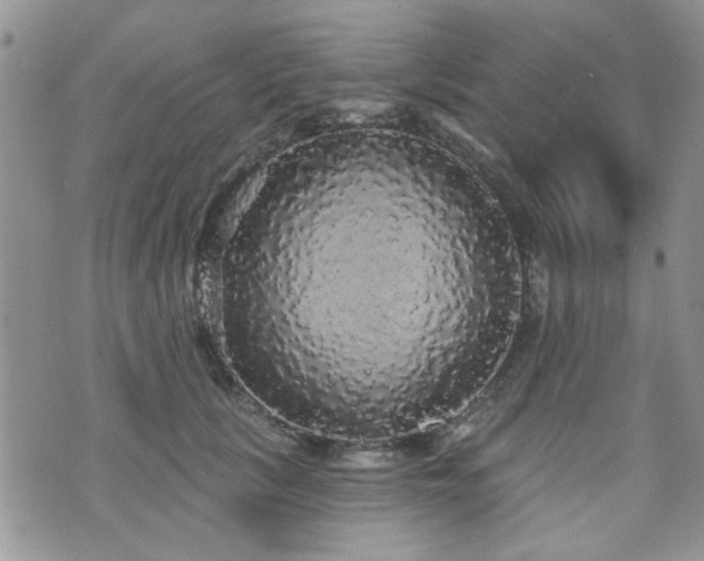 X0000070860657200606161141