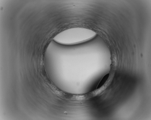 X0000070860665200606161142