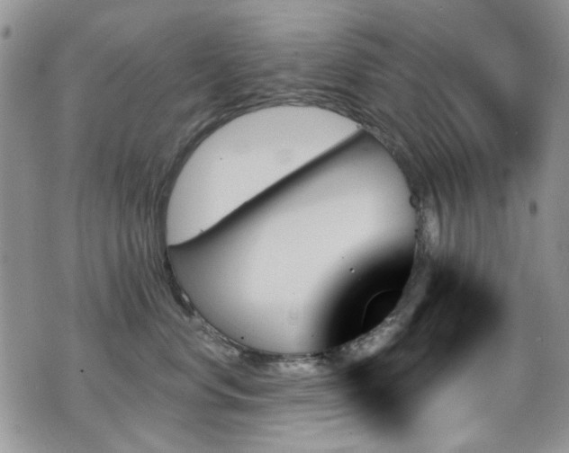 X0000070860668200606161142