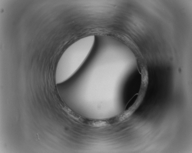 X0000070860669200606161142