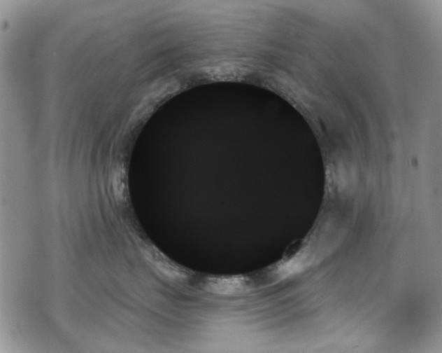 X0000070860671200606161142