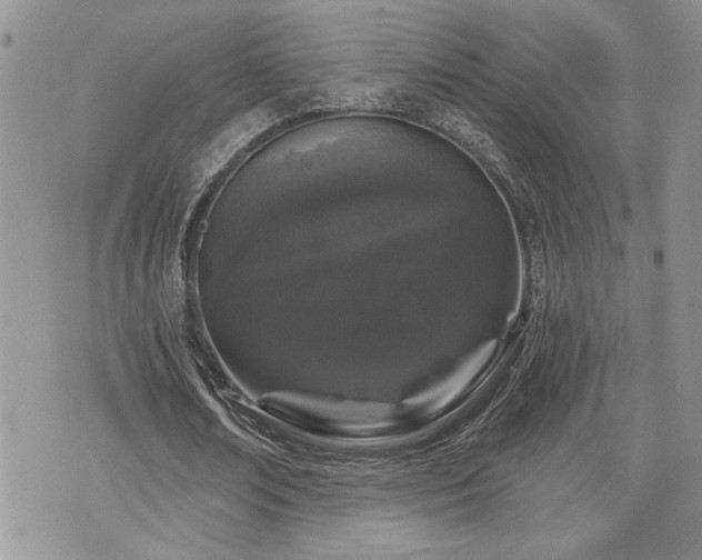 X0000070860674200606161141