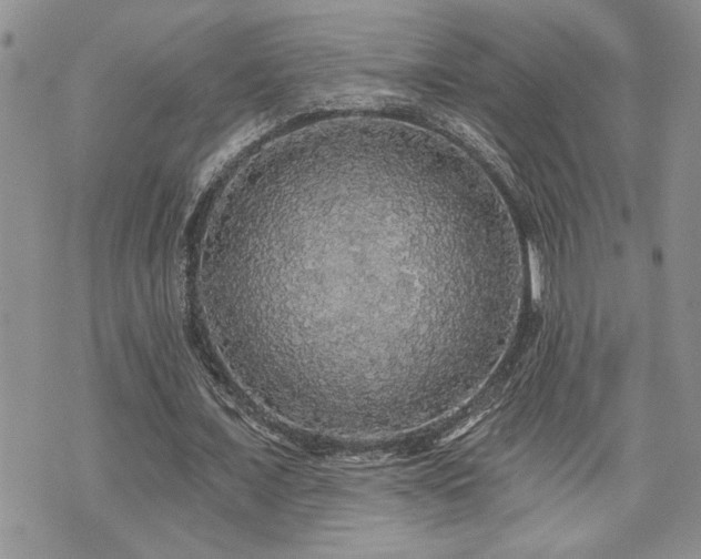 X0000070860675200606161141