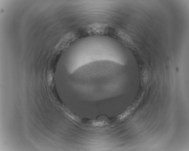 X0000070860709200606161140