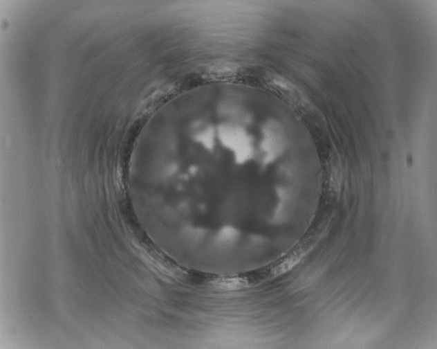X0000070860711200606161140