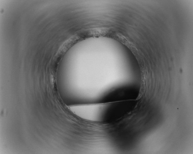 X0000070860716200606161140