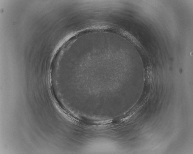 X0000070860726200606161139