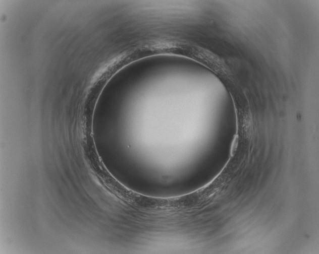 X0000070860732200606161139