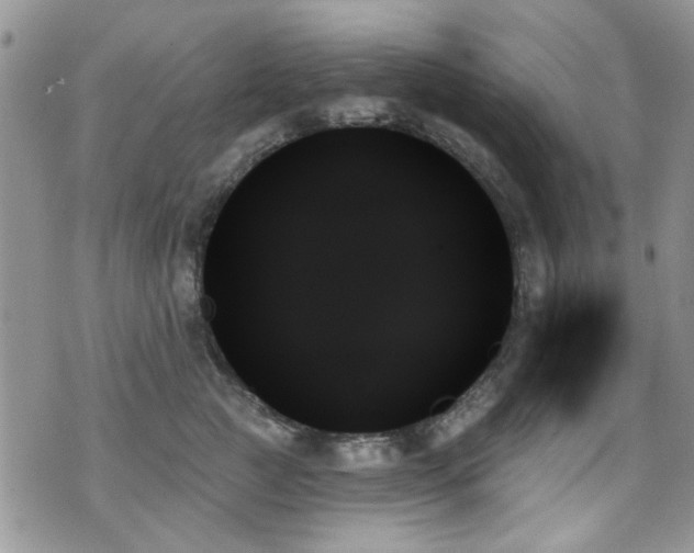 X0000070860761200606161140