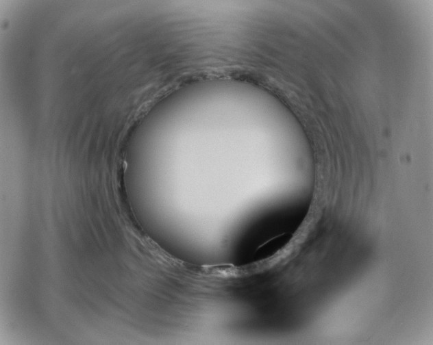 X0000070860768200606161140