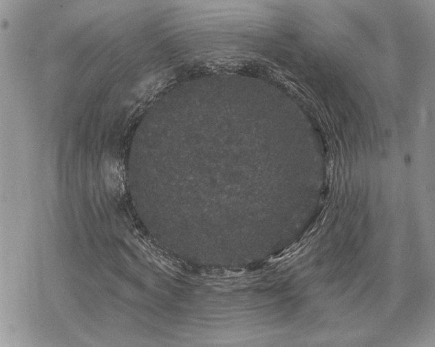 X0000070860772200606161139