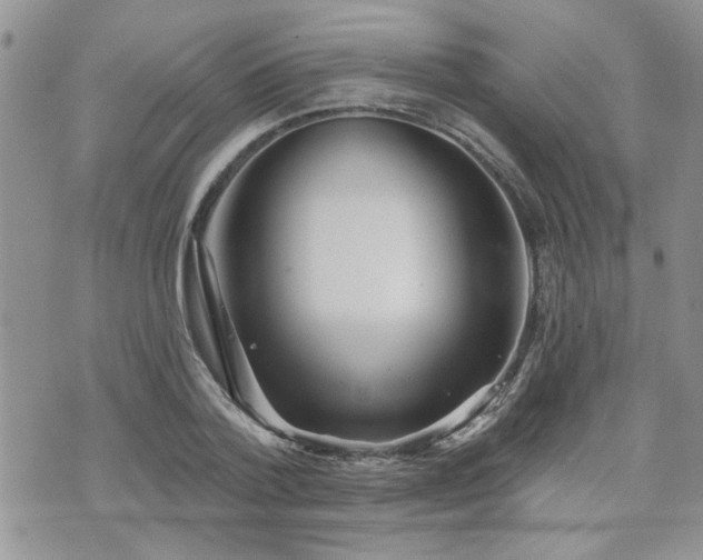 X0000070860788200606161139