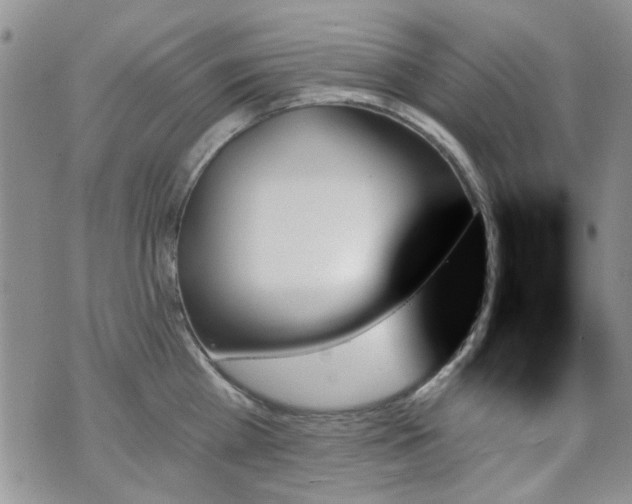 X0000070860809200606161138