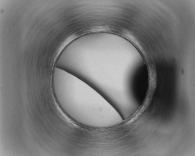 X0000070860810200606161138