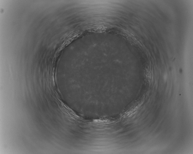 X0000070860818200606161138