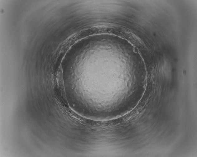 X0000070860821200606161138