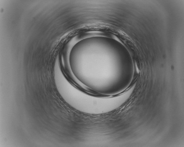 X0000070860822200606161138