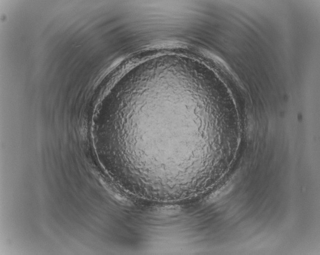 X0000070860833200606161138